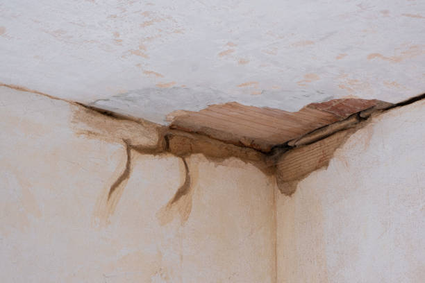 Best Basement water damage restoration  in Muldraugh, KY