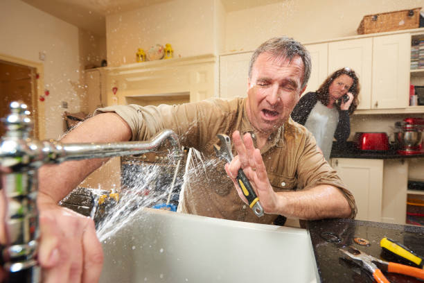 Best Flood damage cleanup  in Muldraugh, KY